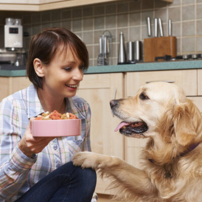 5 Healthy Dog Food Recipes to Make at Home