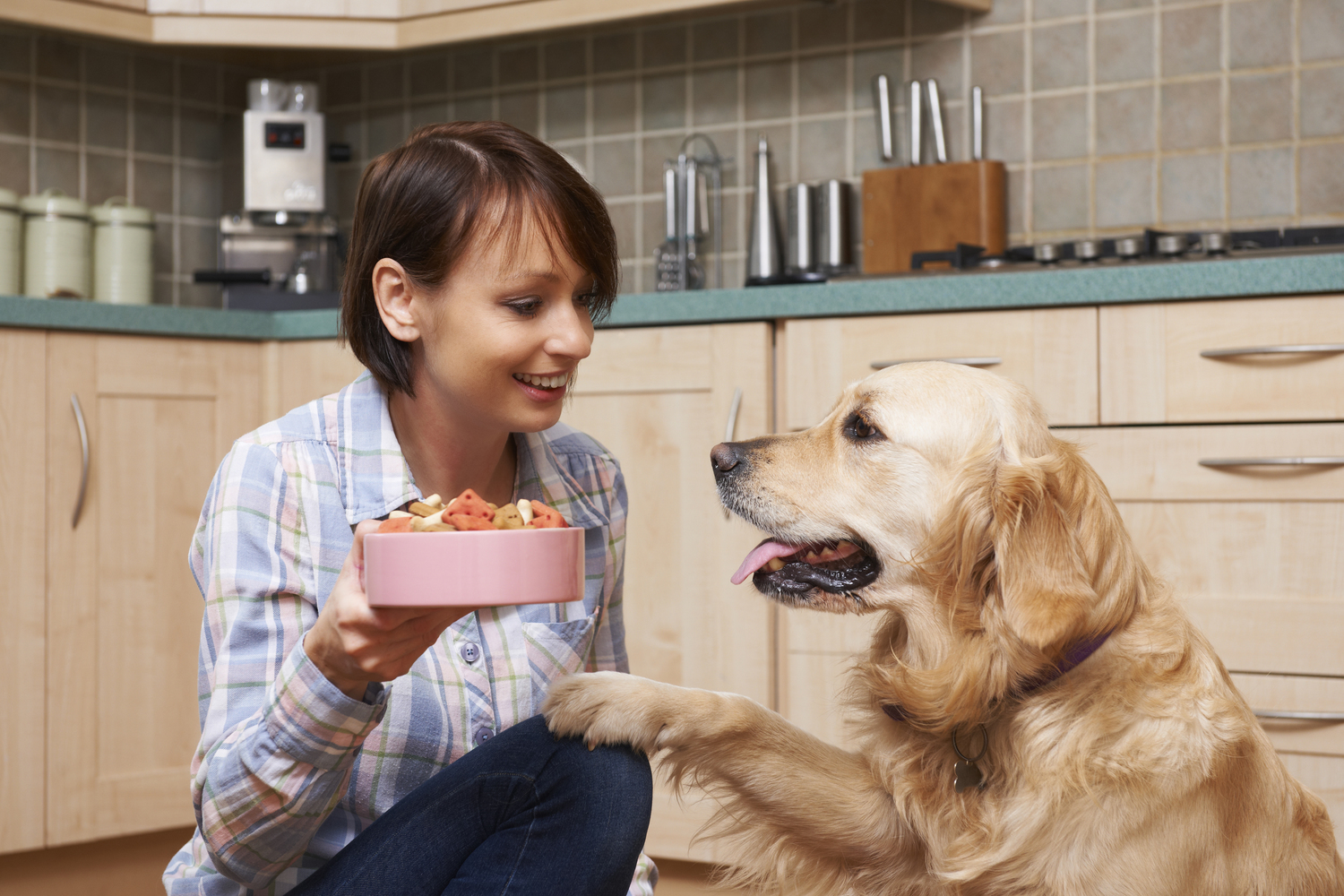 5 Healthy Dog Food Recipes to Make at Home