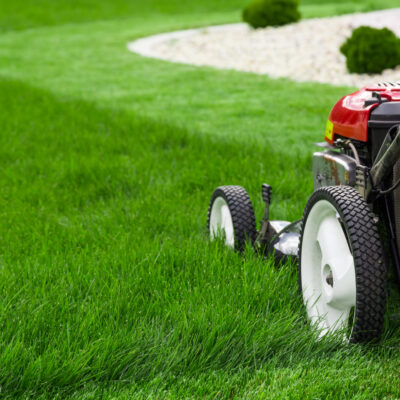 How to Keep Your Lawn Naturally Healthy