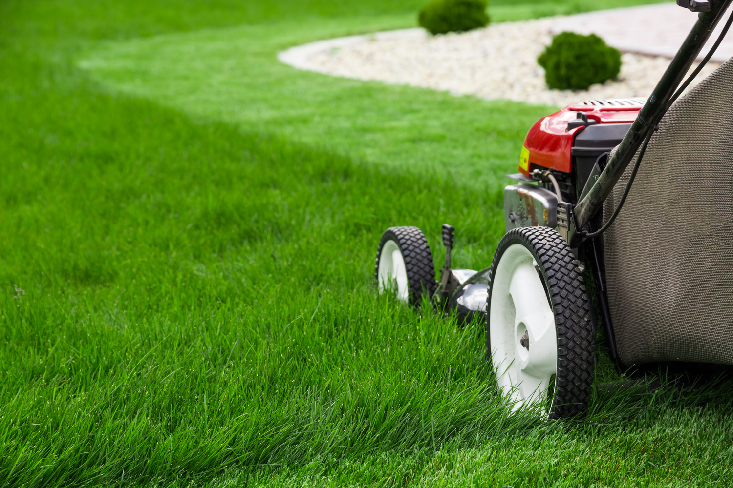 How to Keep Your Lawn Naturally Healthy